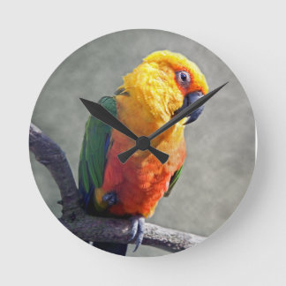 Relógio Redondo Pulso de disparo de Jenday Conure