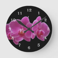 Pulso de disparo de parede da orquídea da flor -