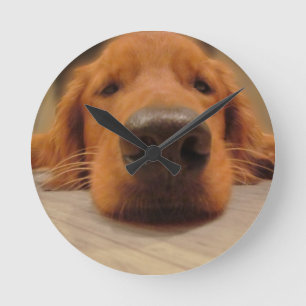 Relógio Redondo Pulso de disparo de parede do golden retriever