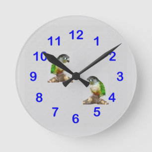 Relógio Redondo Pulso de disparo de parede verde de Conure do