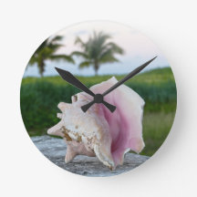 Rainha Conch Shell em uma Parede, as Bahamas Poste