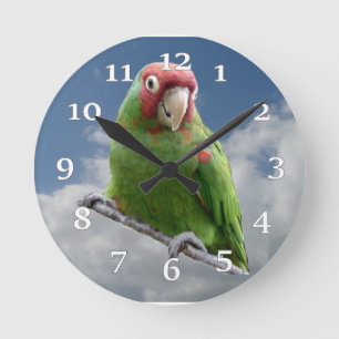Relógio Redondo Red Masked Parakeet Wall Clock