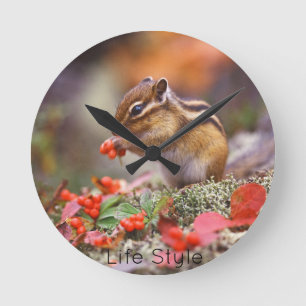Relógio Redondo Reloj de Chipmunk Comparado