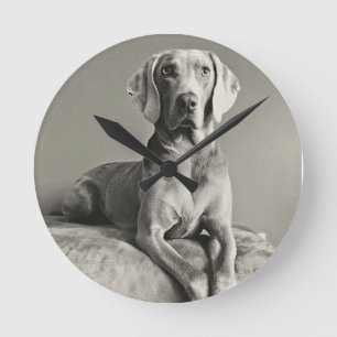 Relógio Redondo Retrato de Weimaraner