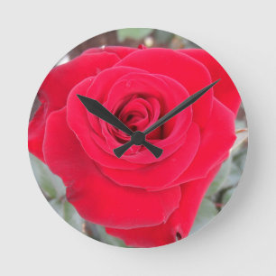 Relógio Redondo Rosa vermelha