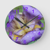 Roxo Iris (Iris Germanica)