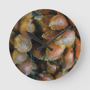 Relógio Redondo Salak [Fruta Cobra]