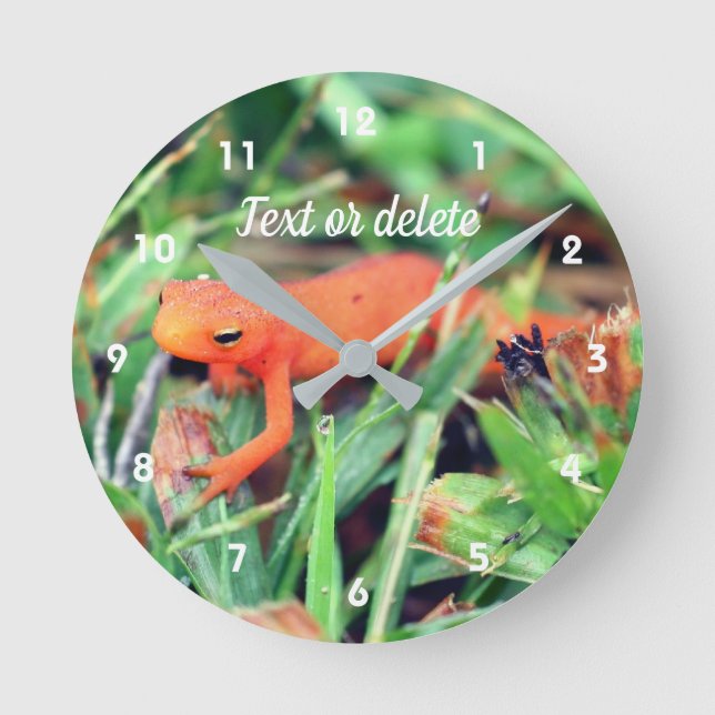 Relógio Redondo Salamandra Laranja Red Eft Personalizada Natureza (Frente)