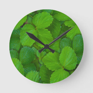 Relógio Redondo Santo Basil Tulsi Green Mint Folhas