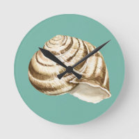 Sepia Striped Shell em Teal