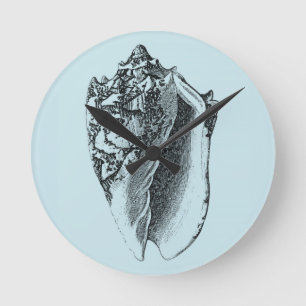 Relógio Redondo Shell Aqua Conch