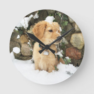 Relógio Redondo Snow Puppy