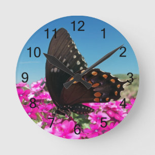 Relógio Redondo Spicebush Swallowtail Butterfly