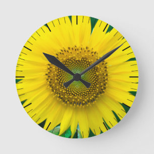 Relógio Redondo Sunflower in Summer