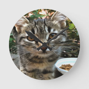 Relógio Redondo Tabby Cat Kitten Fazer Eye Contato