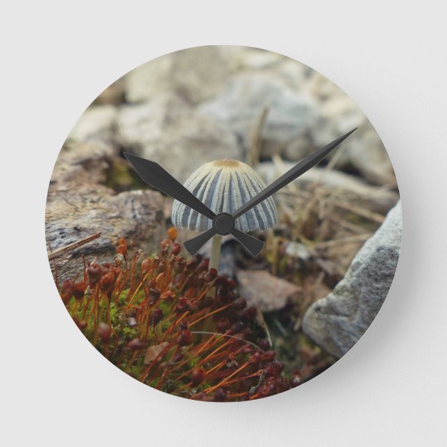Relógio Redondo Toadstool pequenina (Frente)