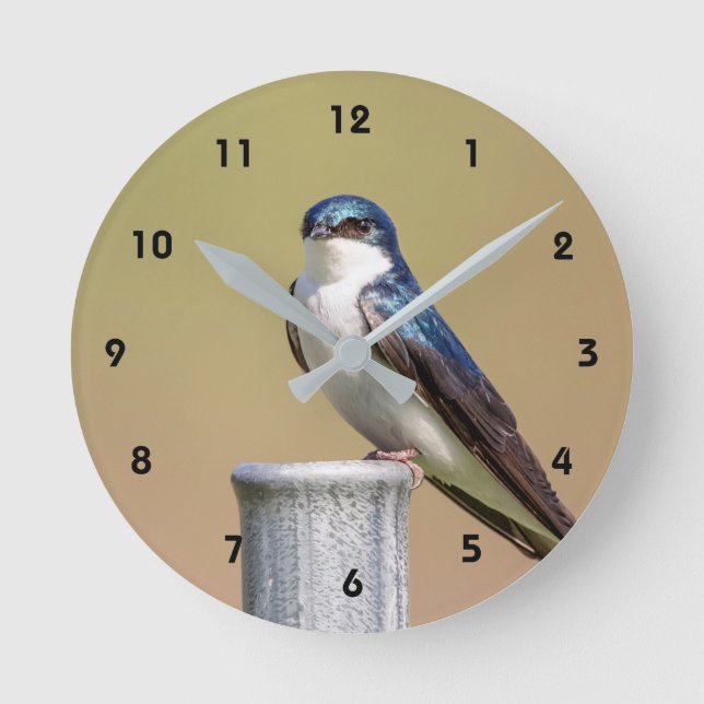 Relógio Redondo Tree Swallow (Frente)