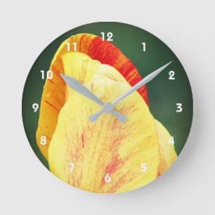 Relógio Redondo Tulip Flor Petals Com Gotas De Rainha Fechem