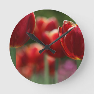 Relógio Redondo Tulipas
