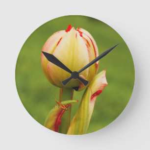 Relógio Redondo Um botão de tulipa