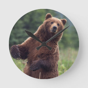 Relógio Redondo USA, Southeast Alaska, Brown Bear and cub