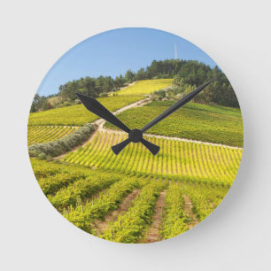 Relógio Redondo Vineyard, Stellenbosch, Western Cape