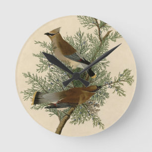 Relógio Redondo Waxwing de cedro de Audubon