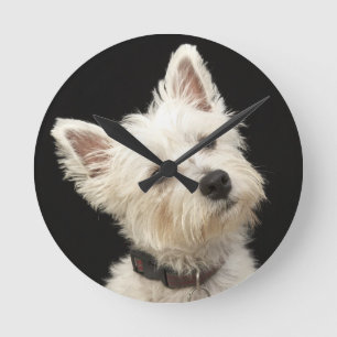 Relógio Redondo Westie (terrier ocidental das montanhas) com colar