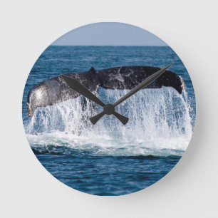 Relógio Redondo Whale Tail