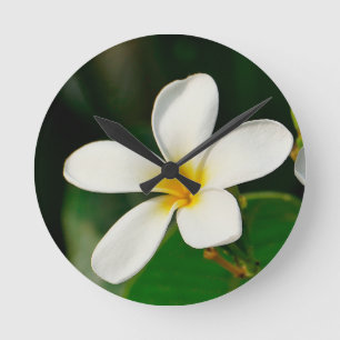 Relógio Redondo White Frangipani