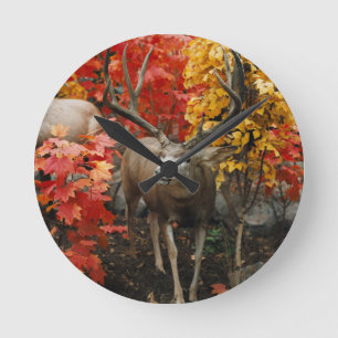 Relógio Redondo Whitetail No Outono