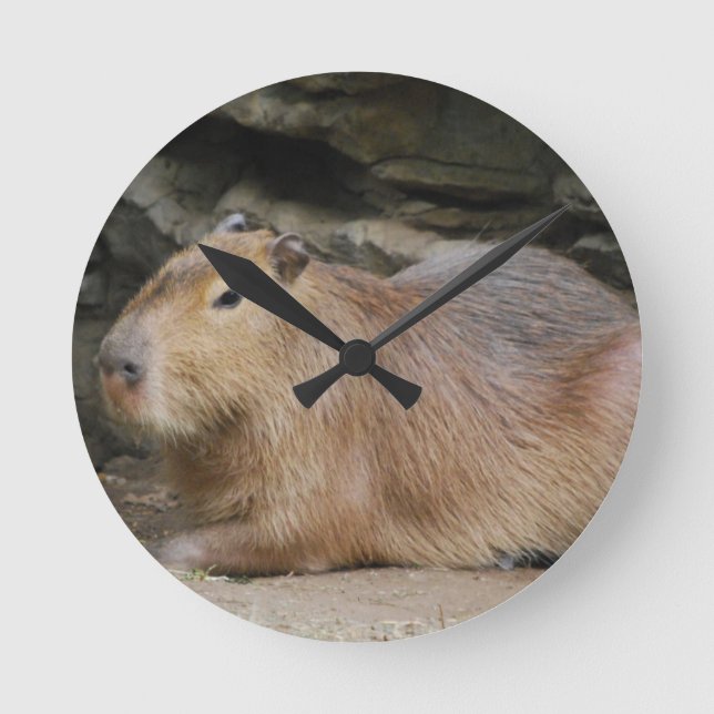 Relógio Redondo Wild Capybara Clock (Frente)