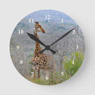 Relógio Redondo Wildlife Giraffe Savannah Foto