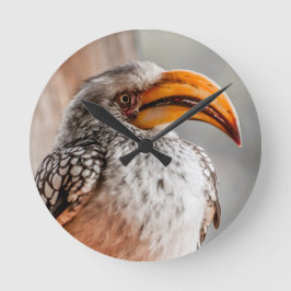 Relógio Redondo Yellow Biled Hornbill