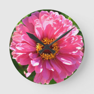 Relógio Redondo Zinnia Rosa