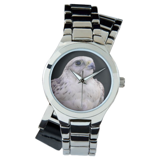 Relógio Retrato Vignetado de Falcão de Saker Inquisitivo (Frente)