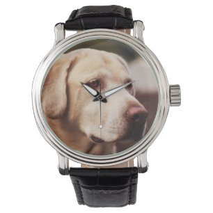 Relógio Retriever de Labrador