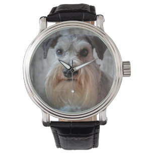 Relógio Rosto de Cachorro Schnauzer