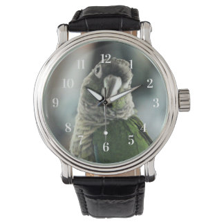 Relógio Sem mais ouriço