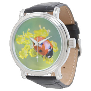 Relógio senhora no topo