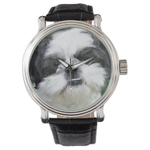 Relógio Shih preto e branco Tzu