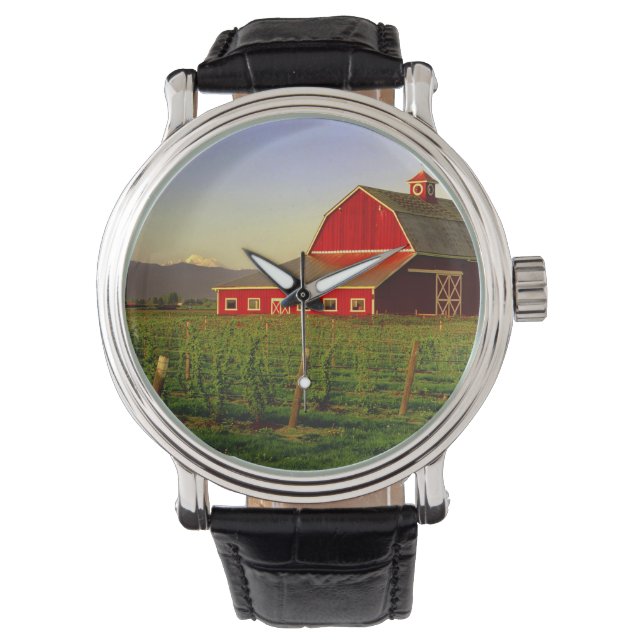 Relógio Sol noturno num celeiro em Washington Skagit (Frente)