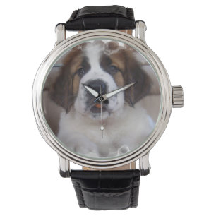 Relógio St Bernard