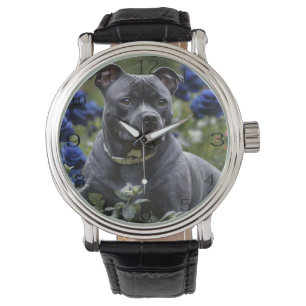 Relógio Staffordshire Bull Terrier In Blue Rosa Garden