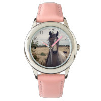 Star The Arab Horse