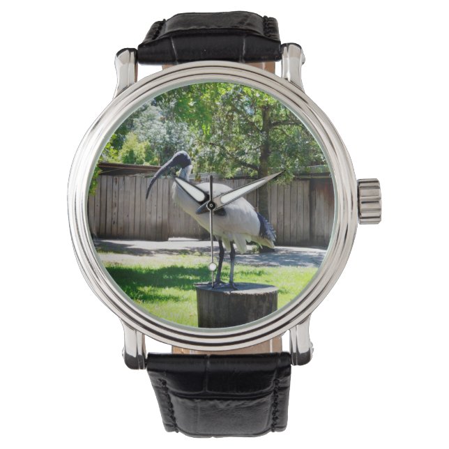 Relógio **"Stump Perch: o lugar de repouso do frango da Ca (Frente)