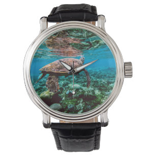 Relógio Tartaruga marinha tropical