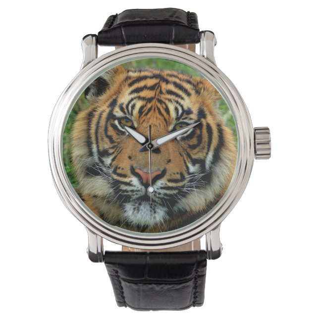 Relógio Tiger Watch (Frente)