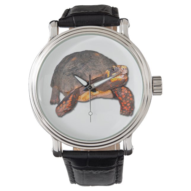 Relógio Tortoise Watch (Frente)