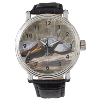 Relógio Três Tartarugas Num Registro